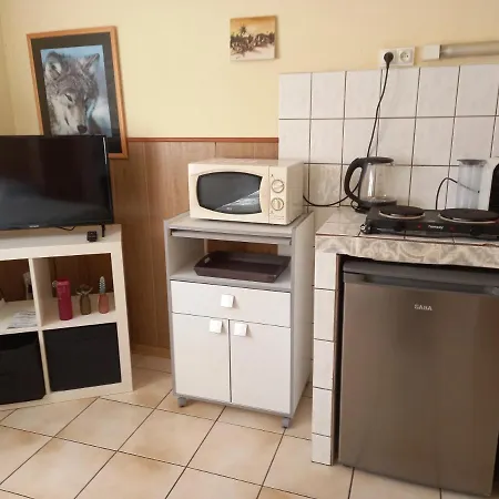 Les Appartements Du Lion De Belfort Exterior photo
