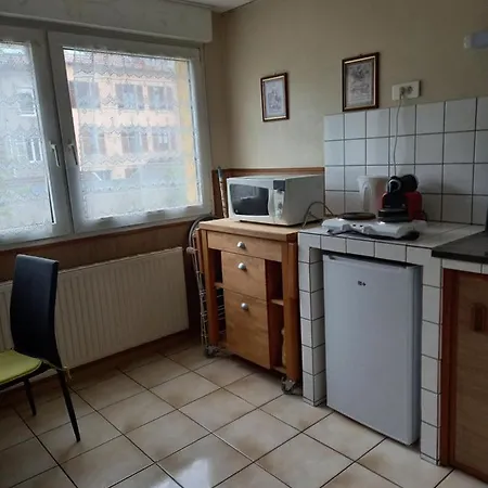 Les Appartements Du Lion De Belfort Exterior photo