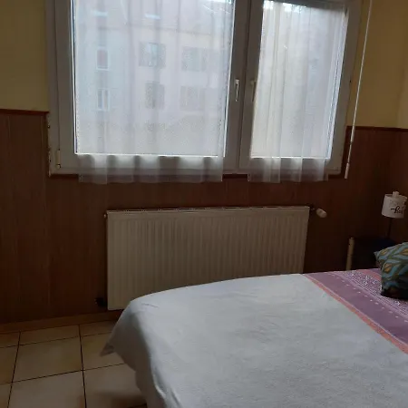 Les Appartements Du Lion De Belfort Exterior photo