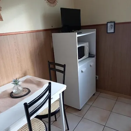 Les Appartements Du Lion De Belfort Exterior photo
