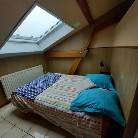 Les Appartements Du Lion De Belfort Exterior photo