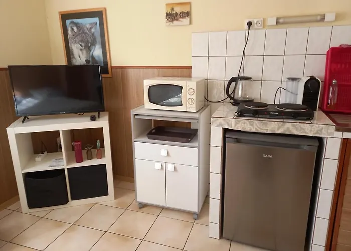 Les Appartements Du Lion De Belfort