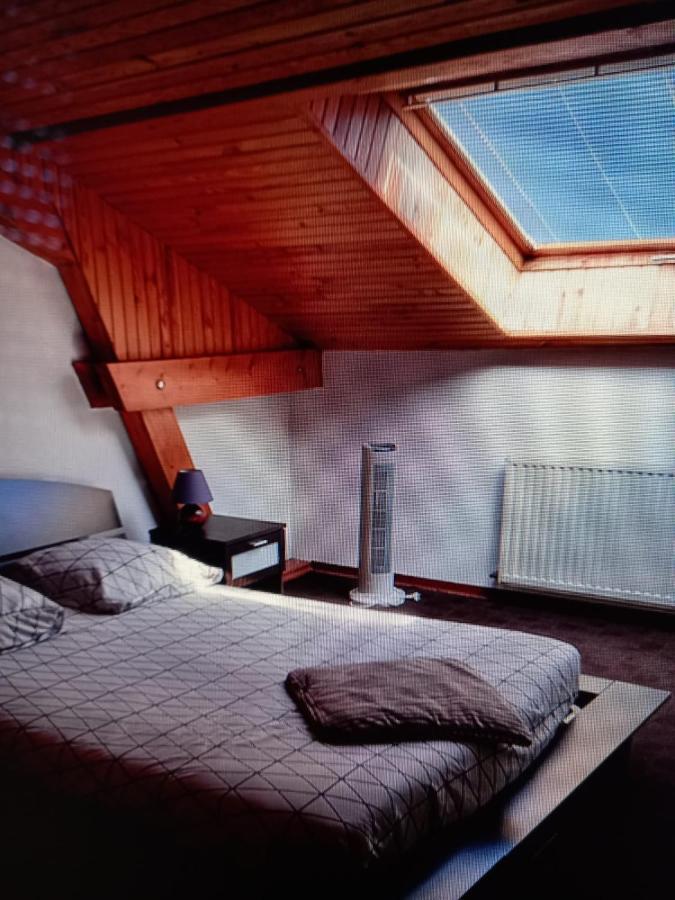 Appartement Du Lion De