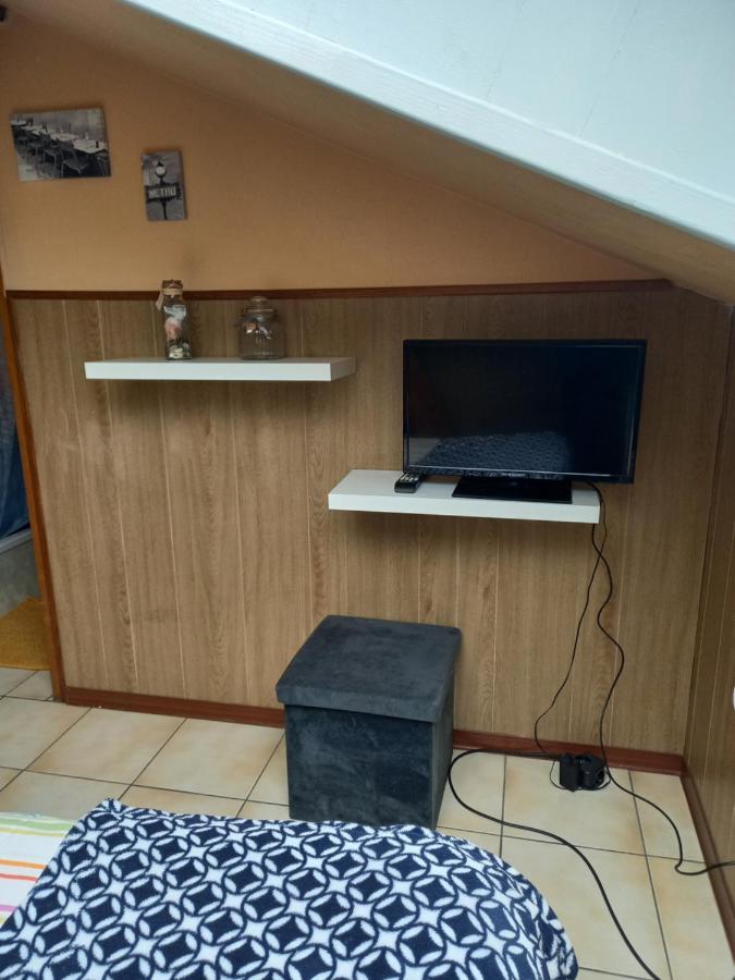 Du Lion De Appartement *