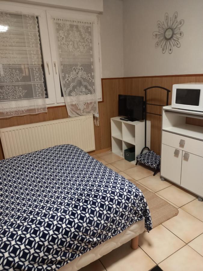 Du Lion De Appartement