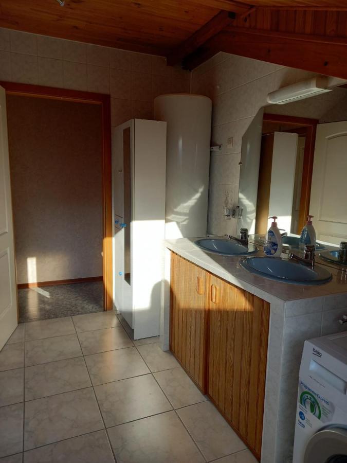 Du Lion De Appartement