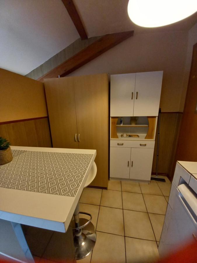 Apartment Du Lion De
